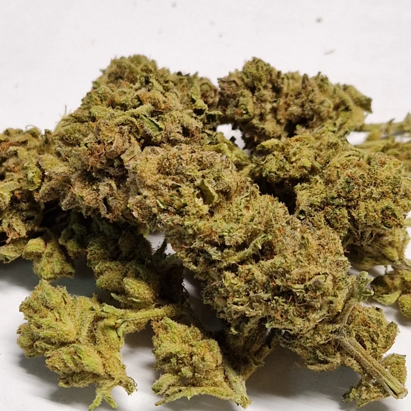 20220704_173558 CBD Blüten 500 g CBD Blüten 1 KG V1