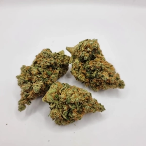CBD Blüten Plutonium